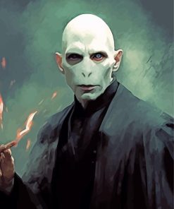 Lord Voldemort Art Paint By Numbers
