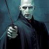 Lord Voldemort From Harry Potter Paint By Numbers