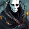 Lord Voldemort Illustration Paint By Numbers