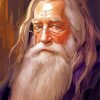 Albus Dumbledore Paint By Numbers
