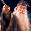 Professor Albus Paint By Numbers