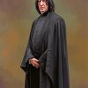 Severus Snape Paint By Numbers