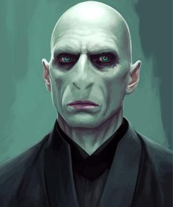 Voldemort Art Paint By Numbers