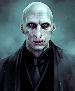 Lord Voldemort In Suit Paint By Numbers