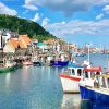 Scarborough Harbour Paint By Numbers