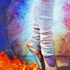 Ballet Shoes And Flames Of Fire Paint By Numbers