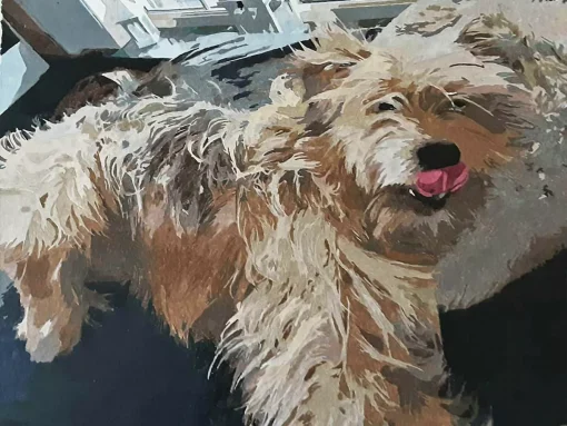 Custom pbn Pets gallery img 1